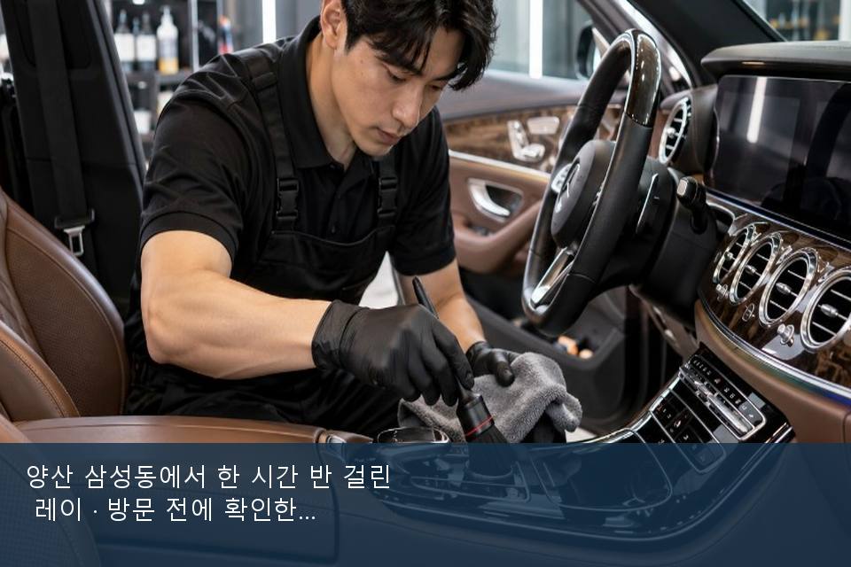 양산 삼성동에서 한 시간 반 걸린 레이 · 방문 전에 확인한 것